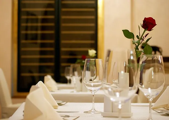 Garden Palace 酒店 里加