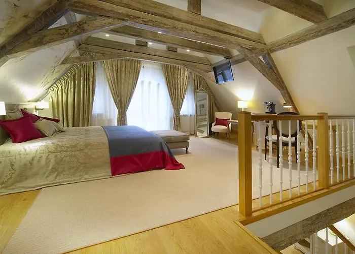 酒店 Garden Palace 里加